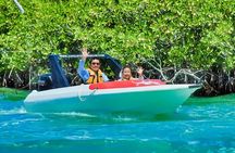 Speedboat across the Mangroves & Snorkel with Jet Ski Rental