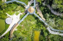 Phuket Elephant Sanctuary Canopy Walkway Tour 