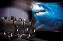 4-Hour Guided Antalya Aquarium Tour 