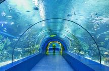 4-Hour Guided Antalya Aquarium Tour 