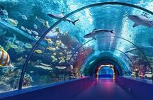 4-Hour Guided Antalya Aquarium Tour 