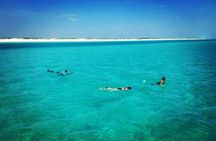 2-Hour Private Sightseeing Dolphin Tour in Panama City Beach