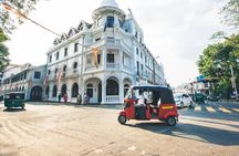 Kandy City Tour from Negombo 