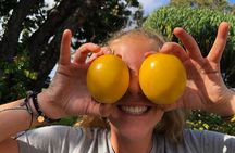 Hamakua Coast Farm Small-Group Walking and Tasting Tour