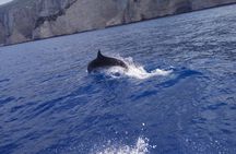 Zakynthos All Day Tour Shipwreck beach, view point-Blue Caves