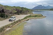 Archeology, visit to a vineyard and wine and pecorino cheese tasting