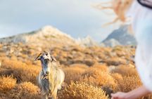 Private Crete Far West Adventure: Hiking, History & Beaches