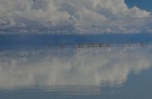 Uyuni Salt Flat 1 Day Tour +Sunset in the Salt Water Region with Mirror Effect