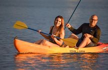 Afternoon Kayak and Paddleboard Tours in Condado Lagoon