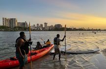Afternoon Kayak and Paddleboard Tours in Condado Lagoon