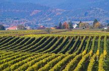 Private gastronomic and wine tour - Kakheti