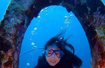Scuba Diver Certification Course