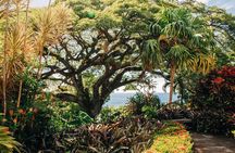 St. Kitts Full Island Excursion