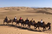 Private Day Tour to Kubuqi Desert from Hohhot with Pick Up