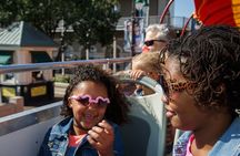 New Orleans Hop-On Hop-Off and Garden District Walking Tour 