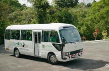 Titi Canopy Tour, Zipline, Rappel down, Tarzan swing