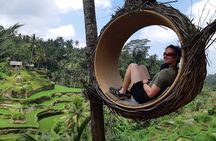 Bali Full-Day Traditional Village Sightseeing Trip All Inclusive