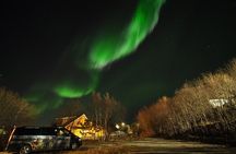 Northern Lights tour with Alta Adventure