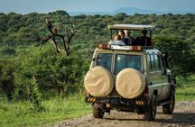 3 Days Private Midrange Lodge Safari with Kilimanjaro Day Hike