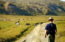 Hells Gate National park using Electric bike & Lake Naivasha