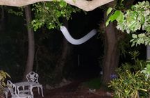 PRIVATE Key West Haunted History Walking Tour