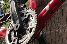 Mountain Bike Tours 