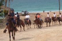Amazing 3-Hour Horseback Riding at Puerto Plata with Pickup