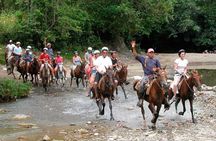 Amazing 3-Hour Horseback Riding at Puerto Plata with Pickup