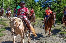 Amazing 3-Hour Horseback Riding at Puerto Plata with Pickup