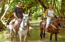 Amazing 3-Hour Horseback Riding at Puerto Plata with Pickup