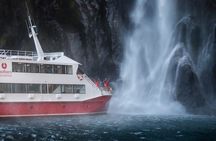 Milford Sound Nature Cruise with Southern Discoveries