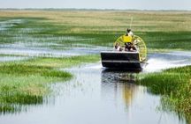 Private Tour of Everglades National Park