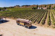 All-Inclusive Social Wine Tour