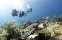 PADI Discover Scuba Diving for divers without certification