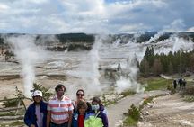 4 Person Full-Day PRIVATE Yellowstone Tour in a Raised Roof Van- Picnic Lunch