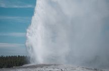 4 Person Full-Day PRIVATE Yellowstone Tour in a Raised Roof Van- Picnic Lunch