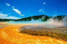 4 Person Full-Day PRIVATE Yellowstone Tour in a Raised Roof Van- Picnic Lunch