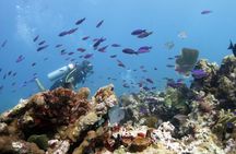 PADI Open Water Diver Course