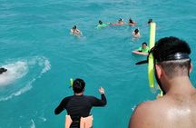 Catamaran to Isla Mujeres at sunset pick up Cancun