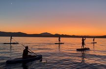 Stand Up Paddle With Dolphins, aperitif and pictures