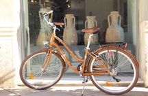 GRAND CITY Private Guided Tour on Bike, E-Bike, E-Step or Segway
