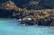Howth Cliff Cruises