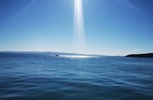 Howth Cliff Cruises