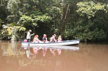 Canoe tour dentro del Parque