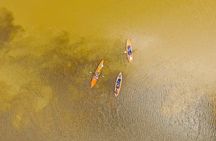Kayak Tour