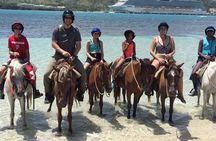 Amazing 3-Hour Horseback Riding at Puerto Plata with Pickup