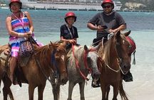 Amazing 3-Hour Horseback Riding at Puerto Plata with Pickup