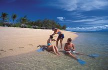 Full Day Low Isles Sailing & Snorkelling Cruise from Port Douglas