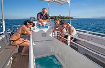 Full Day Low Isles Sailing & Snorkelling Cruise from Port Douglas