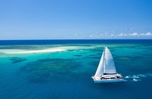 Outer Reef Mackay Cay Sail & Snorkel Adventure from Port Douglas